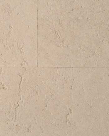 Saint Ambrose Web Res 2